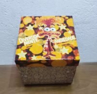 Caixinhas Divertidamente - Imagem 40