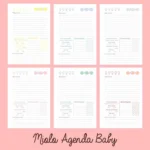Miolo Agenda Baby