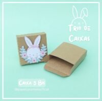 Trio de Caixas (sem arte) - Imagem 3