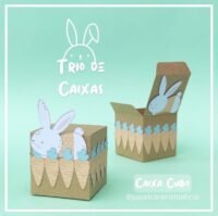 Trio de Caixas (sem arte) - Imagem 4