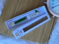 Moldes Arquivos em Branco Editáveis - Imagem 4