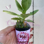 Coleção Dia das Mães 2025