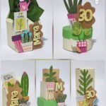 Plantas - Kit Festa