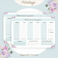 Vintage – Professores 2026 - Imagem 12