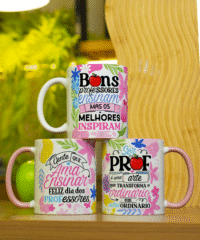 Coleção – Professores Floral (Avião sem Asa) - Imagem 31