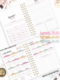 Agenda 2026 – Color (Vê Bernardi) - Imagem 5
