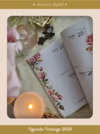 Miolo Agenda Vintage 2026 Costura (Perfeito Miolo) - Imagem 2