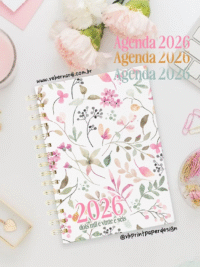 Agenda 2026 – Color (Vê Bernardi) - Imagem 9