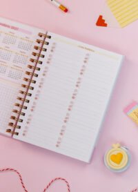 Kit Professores 2026 (Estúdio G19) - Imagem 53