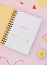 Kit Professores 2026 (Estúdio G19) - Imagem 15