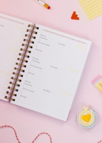 Kit Professores 2026 (Estúdio G19) - Imagem 65