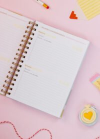 Kit Professores 2026 (Estúdio G19) - Imagem 16