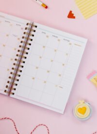 Kit Professores 2026 (Estúdio G19) - Imagem 5