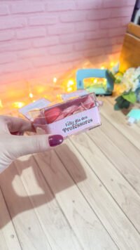 Kit Digital Professoras Delicadas - Imagem 13