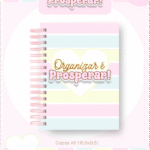 Organizar é Prosperar – Capas Controle Financeiro (Pamella)