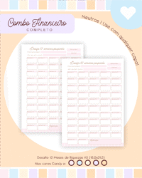 COMBO Miolos Neutros – Controle Financeiro (Pamella) - Imagem 7