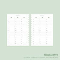 SUPER Combo Agendamento 2026 (Nilmara) - Imagem 34