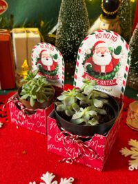 Coleção Digital NATAL 2025 (Ilustracin) - Imagem 45