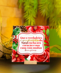 Coleção – Natal de Jesus (Avião Sem Asa) - Imagem 5