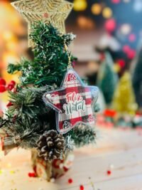 Natal Noel 2025 ( Ana Flor) - Imagem 9