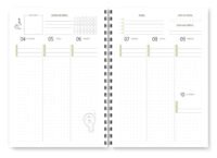 Planner Cores 2026 (Trilha de Papel) - Imagem 5