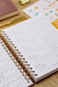 Planner Financeiro Neutro 2026 (Estudio G19) - Imagem 49