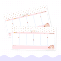 Arco Íris – Volta às Aulas 2026 (Papel Amado) - Imagem 5