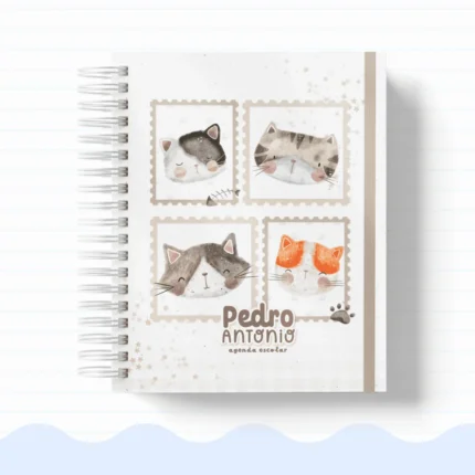 Gatinho – Volta às Aulas 2026 (Papel Amado)