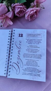 Devocional com Plano de Leitura Bíblica Anual Coleção Donzelas do Senhor 21 capas - Imagem 3