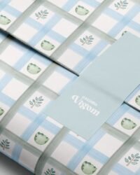 Dino - Kit Digital - Imagem 10