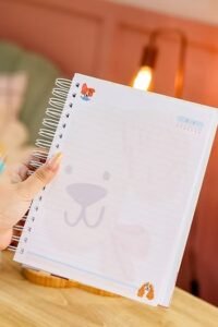 Voltas às aulas 2026 (Estudio G19) - Imagem 11