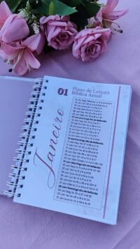 Devocional com Plano de Leitura Bíblica Anual Coleção Donzelas do Senhor 21 capas - Imagem 9