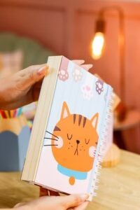 Voltas às aulas 2026 (Estudio G19) - Imagem 8