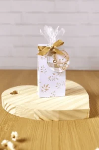 Ursinhos – Coleção Caixas - Imagem 4