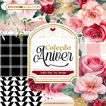 Coleção - Aniversário (Avião Sem Asa)