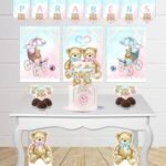 Chá Revelação Azul e Rosa - Kit festa