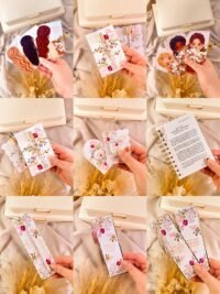 Coleção Dia da Mulher 2026 (Papel Amado)