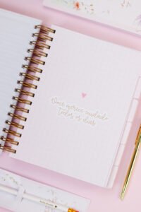 Kit Mulher Organizada (Estúdio g19) - Imagem 89