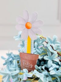 Coletiva Completa Dia Das Mulheres 2026 - Imagem 31