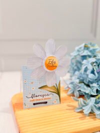 Coletiva Completa Dia Das Mulheres 2026 - Imagem 11