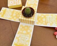 Caixa Explosão Para Cacto Suculenta - Dia das Mulheres