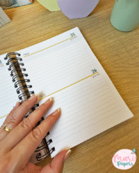 Coletiva Mulheres 2026 - Imagem 37