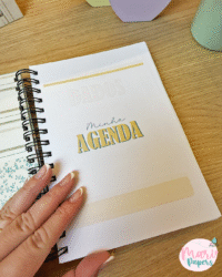 Coletiva Mulheres 2026 - Imagem 36