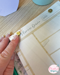 Coletiva Mulheres 2026 - Imagem 22