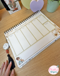 Coletiva Mulheres 2026 - Imagem 15