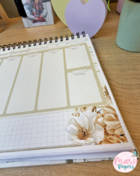 Coletiva Mulheres 2026 - Imagem 3