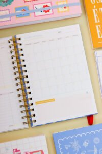 Coleção Encanto (Estúdio g19) - Imagem 92