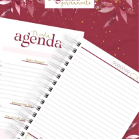 Combo Digital Alfabeto Bordô 2.0 (Letterinhas) - Imagem 5