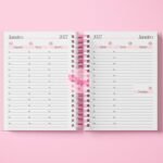Agenda Rosa Visão Semanal 2027 - Miolo Arquivo Digital