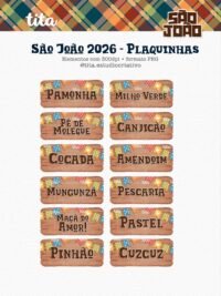 São João 2026 - Combo Ilustrações e Papéis + BRINDE (copa junina) - Tita - Imagem 9